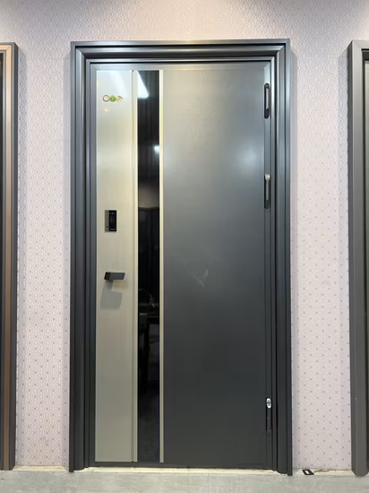 Stilvolle Sicherheitseingangstür mit wasserdichtem Design für moderne Häuser